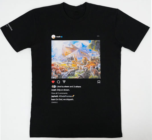 Noah's Ark T-shirt. 
